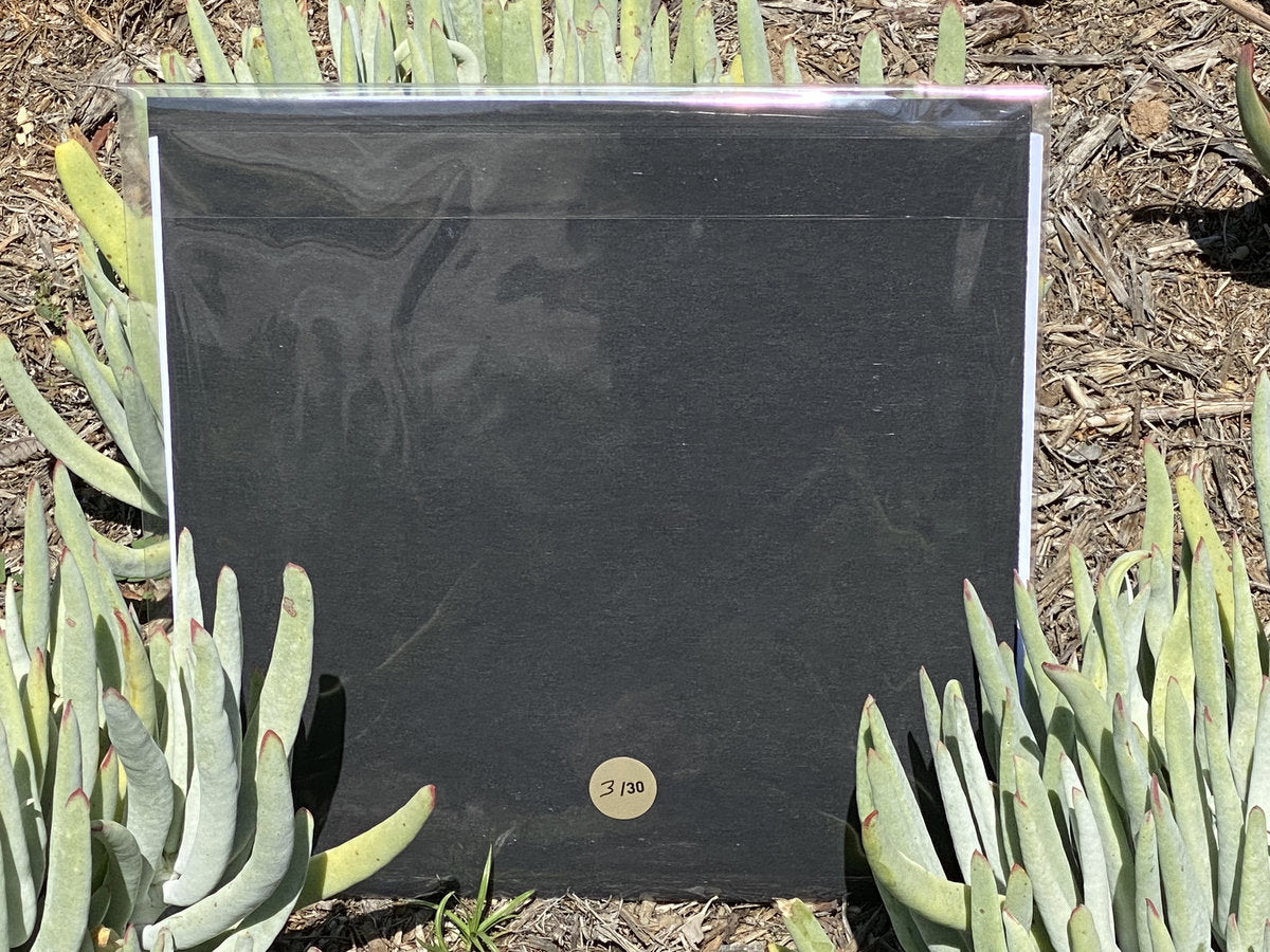 The Pines of Rome - The Unstruck Bell (Test Pressing Edition)